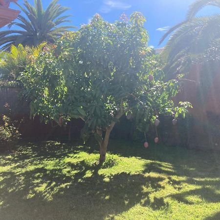 מלון סנטה אורסולה Xanadu Coliving מראה חיצוני תמונה