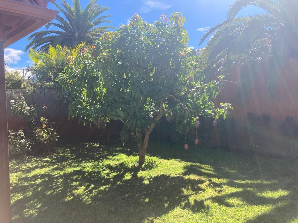 מלון סנטה אורסולה Xanadu Coliving מראה חיצוני תמונה